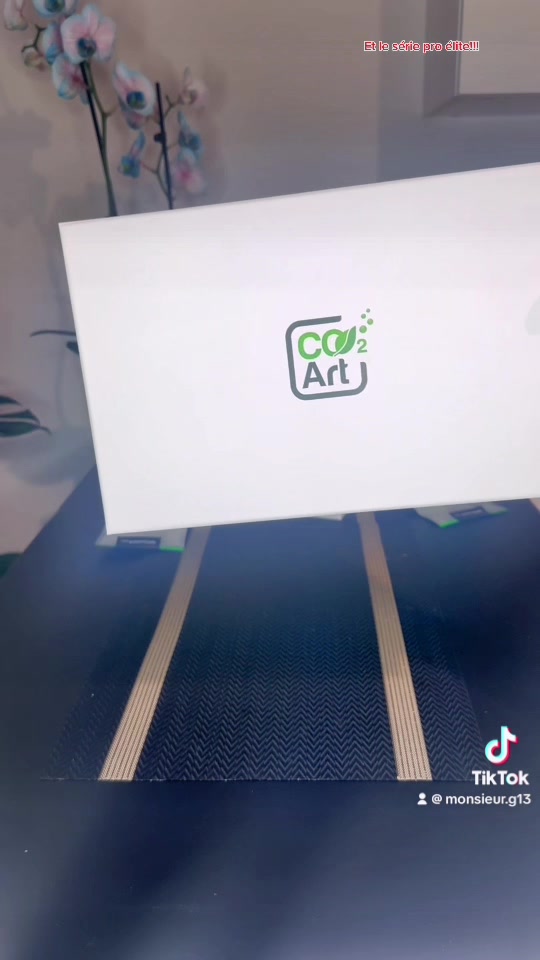 Videoclip TikTok de la @aquascaping.passion